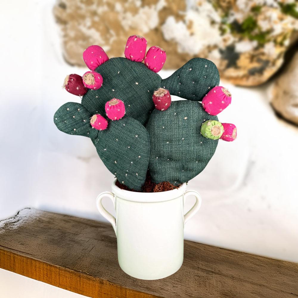 🌵 Collezione "Fiko"